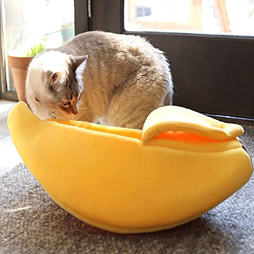 BoxCat Seasonal Cat Subscription Box 4 GIANT Boxes Per Year with cat