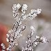 Plastic Iced Branch Pick 11