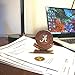 College Bronze Alabama Crimson Tide Coin Paperweight