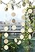 Ling's moment Circle Dots Paper Garland (Champagne Gold Glitter) for Wedding, Baby Shower, Festival Items & Party Decorations, 2.5