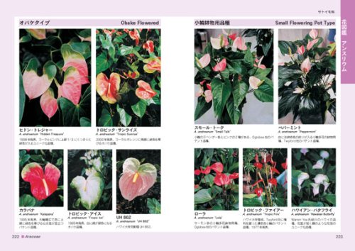 ハワイ魅惑の花図鑑 熱帯 亜熱帯の花1000種 武田 和男 本 通販 Amazon
