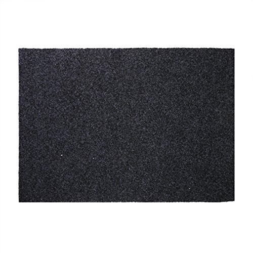 Fasmov Entrance Rug Floor Mats Shoe Scraper Doormat,20â€x31.5â€