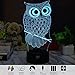 3D Illusion Animal Owl LED Desk Table Night Light Lamp 7 Color Touch Lamp Kiddie Kids Children Family Holiday Gift Home Office Childrenroom Theme Decoration by HUI YUAN