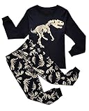 IF Pajamas Dinosaur Little Boys Long Sleeve Pajamas Sets 100% Cotton Clothes Toddler Kids Pjs 6T