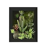 3D Artificial Flowers Wall Hanger with Frame Shape Vase, Ball Cactus Succulent Plants Moss on the Stone Green Leaves Grass, Black Frame, 7.87 in * 9.84 in