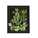 3D Artificial Flowers Wall Hanger with Frame Shape Vase, Ball Cactus Succulent Plants Moss on the Stone Green Leaves Grass, Black Frame, 7.87 in * 9.84 in