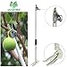 Worth Garden Long Reach Tree Pruner, 4ft Lightweight Cut and Hold Pruning Trimmer, Long Handled Pruning Shear-Tree Clippers with Flexible Hand Grip