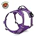 Chai's Choice - Premium Outdoor Adventure Dog Harness - 3M Reflective Vest with Two Leash Clips, Matching Leash and Collar Available (Purple Medium)
