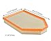 MIKKUPPA KQ023 (CA11257) Engine Air Filter Replacement for 2011-2018 Dodge Charger/Challenger/Chrysler 300