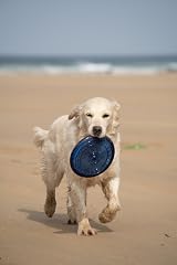 Petface Toyz Rubber Frisbee Dog Toy – Colour Varies view 6