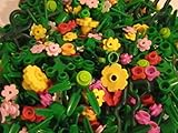 LEGO 50 Small Random Plants Flowers and Greenery Pieces