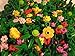LEGO 50 Small Random Plants Flowers and Greenery Pieces