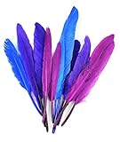 Touch of Nature 38373 Mini Turkey 24 Piece Quill Feathers Cool Mix, 3