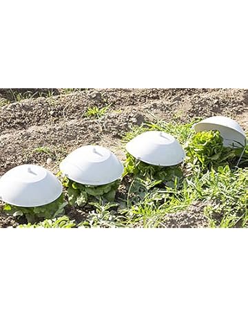 Accesorios para control de plagas y protección de plantas | Amazon.es