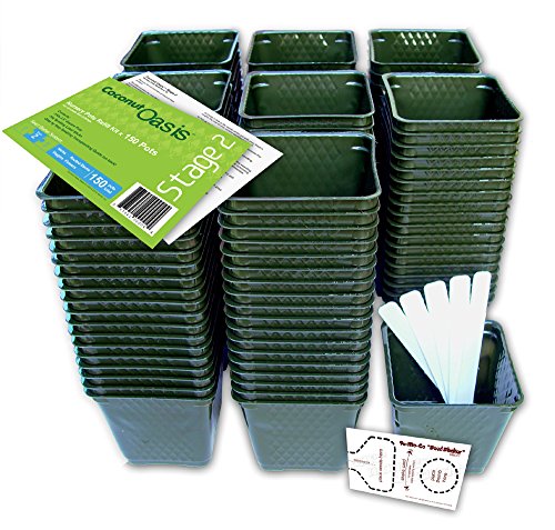Set of 150 Plastic Nursery Plant Pots, Transplating Guide,”Seed Shaker” Card and 10 Plant Labels. Color: Green, Seedling Containers