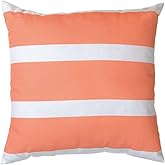 MWW Coral Striped Climaweave Fabric 18x18in Throw Pillow - Indoor/Outdoor Use