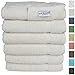 SALBAKOS 100% Turkish Cotton Hand Towel Set of 6 16x30 inch | Heirloom Quality | Hotel & Spa Collection | Ultra Soft, Super Absorbent, Long Lasting Hand Towels | Made in Turkey (Ivory, 6 Hand Towels)