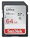 SanDisk 64GB SDXC SD Ultra Memory Card Works with Canon Powershot ELPH 360 HS, SX70 HS, SX620 HS Camera UHS-I (SDSDUN4-064G-GN6IN) Bundle with (1) Everything But Stromboli Combo Card Reader