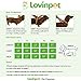 LovinPet Dog Pajamas Pet Clothes Cotton Cozy Onesie Puppy Pjs with Bow and Snap Buttons