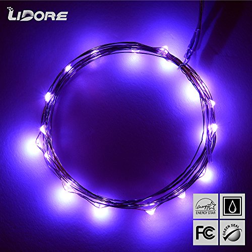 LIDORE Micro LED 20 Purple String Lights with Timer, Battery Operated on 7.87ft Long Silver Color Ultra Thin Copper Wire
