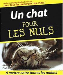 Un  chat