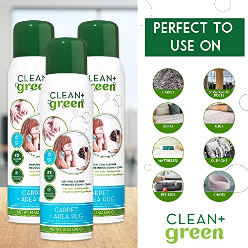 Clean+Green Carpet Cleaner Natural Stain and Odor Remover, Deep Clean