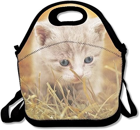 CatLunch Tote, Lunch Boxes Lunch Bags Picnic Lunch Bag.