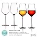 MICHLEY Unbreakable Large Wine Glasses, 100% Tritan Plastic Shatterproof Wine Glasses, BPA-free, Dishwasher-safe 13.7 oz, Set of 2