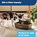PetSafe Drinkwell Multi-Tier Dog and Cat Water Fountain, Automatic Drinking Fountain for Pets, 100 oz. Water Capacitythumb 1