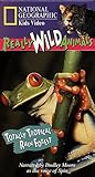 National Geographic's Really Wild Animals: Totally Tropical Rain Forest [VHS]