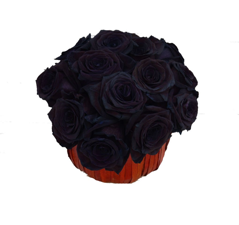 24 Stems 2 Dozen Farm Fresh Black Tinted Roses Bouquet By