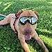 YAWALL Dog Goggles Pet Cool Sunglasses UV Protection Windproof Goggles Pet Eye Wear Medium Large Dog Swimming Skating Glasses Accessaries