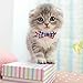 Mtliepte Cat Collars Breakaway Bowtie with Bell Adjustable Safety Fashionable Cute Plaid Kitten Collars 2pack