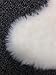 Nouvelle Legende Faux Fur Sheepskin Rug Soft and Stylish Luxury Duo 20 in. X 67 in. White