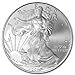 2010 - American Silver Eagle .999 Fine Silver with Our Certificate of Authenticity Dollar Uncirculated US Mint
