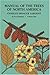 Manual of the Trees of North America (Exclusive of Mexico), Vol. 1 by 