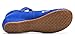 AvaCostume Women's Chinese Embroidery Casual Mary Jane Travel Walking Shoes Blue 39