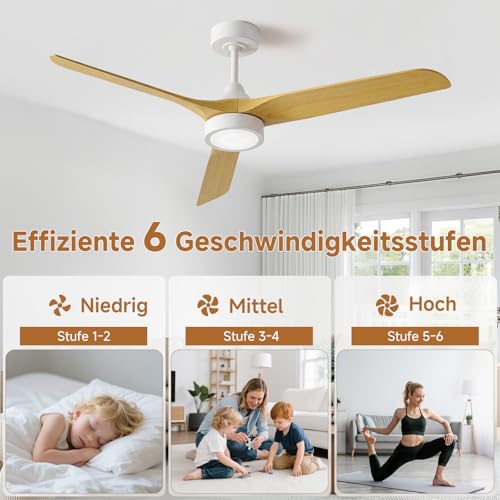 Ateroll 132 cm Ceiling Fan with Lighting and Remote Control, Ultra Quiet DC Motor, 3 Blades, 6 Speeds, 1/4/8H Timer, Dimmable LED, Summer Winter Operation for Living Room, Bedroom