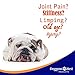 Glucosamine for Dogs – Powder – Advanced Hip & Joint Supplements – Chondroitin & MSM – Eases Your Dog’s Joint Pain and Repairs Damaged Cartilage – All Natural – Made in the USA
