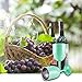 Stainless Steel Wine Glasses, 1 Pcs Keeper Premium Grade 304 Stainless Steel Wine Glasses 10 Oz Insulated Unbre Steel Cocktail Glass Wine Goblet Glass with Lid Great for Daily, Camping & Picnics Green