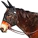 Cashel QR Mule SM QTR HSE/ARB/COB SWE (QRMASE), Black, Mule Arabian