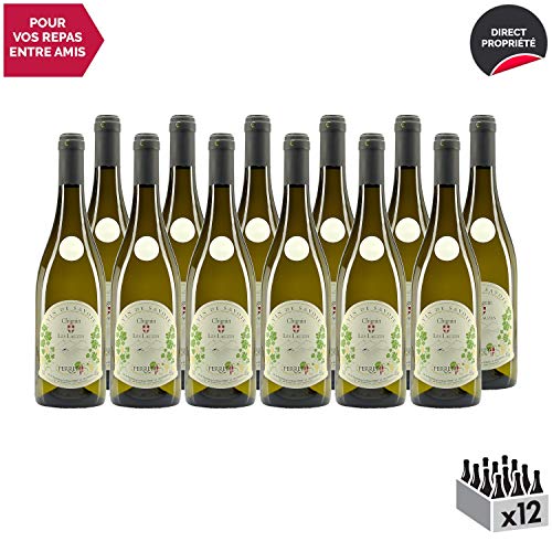 Vin de Savoie Chignin"Les Lauzes" Blanc 2018 - Maison Perret - Vin AOC Blanc de Savoie - Bugey - Cépage Jacquère - Lot de 12x75cl