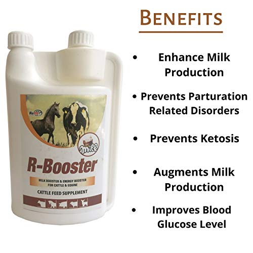 REFIT ANIMAL CARE Energy & Milk Increase Supplement for Cattle, Cows & Equine (RBooster 1 LTR