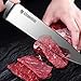 STEINBRÜCKE Chef Knife - Kitchen Knife 8 Inches German 5Cr15Mov Stainless Steel Blade with Finger Guard，HRC58 Sharp-Dishwasher Safe