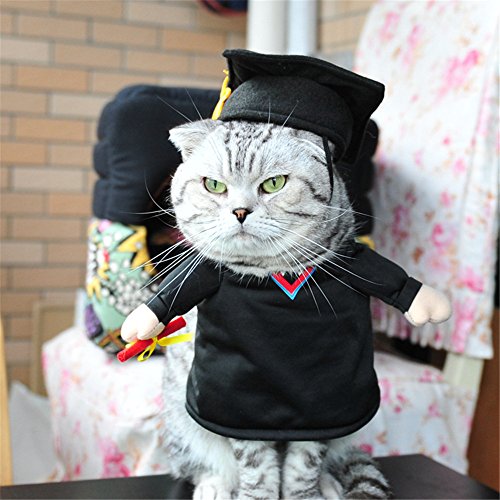 Pet Graduation Caps and Gown, Summer Graduation Costume with