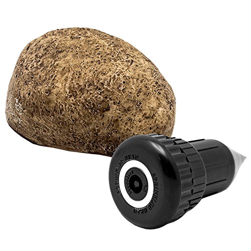Best Hide A Key Bundle Fake Rock and Sprinkler Head Realistic Look