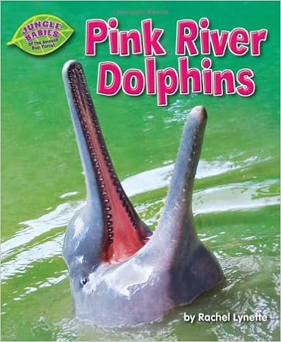 Pink River Dolphins Jungle Babies Of The Amazon Rain Forest Lynette Rachel Amazon Com Books