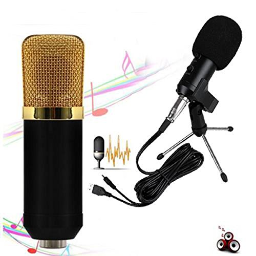 Xinzhi Condenser Microphone -USB Microphone, Plug &Play Home Studio USB Condenser Microphone for Skype, Recordings,Google Voice Search, Games(Windows/Mac)