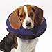 Total Pet Health Inflatable Dog Collars - Veterinarian-Approved Collars Designed to Prevent Pets from Scratching and Biting at Injuries, Stitches, Rashes, and Wounds - Medium, Blue