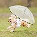Pet Dog Umbrella With Leash for Small Dogs Puppies 20 Inches Back Length Replace, Remove the Uncomfortable Dog Raincoat